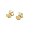 pose-3-DS-AC-YG-3.0.png