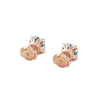 pose-3-DS-CU-RG-2.5.png