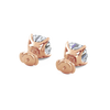pose-3-DS-CU-RG-5.0.png
