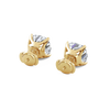 pose-3-DS-CU-YG-5.0.png
