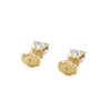 pose-3-DS-HT-YG-1.5.png
