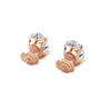 pose-3-DS-OV-RG-4.0.png