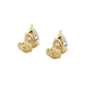 pose-3-DS-PE-YG-3.0.png