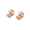 pose-3-DS-RD-RG-4.0.png