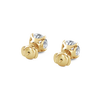 pose-3-DS-RD-YG-3.0.png