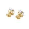 pose-3-DS-RD-YG-5.0.png
