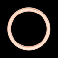 18K Rose Gold